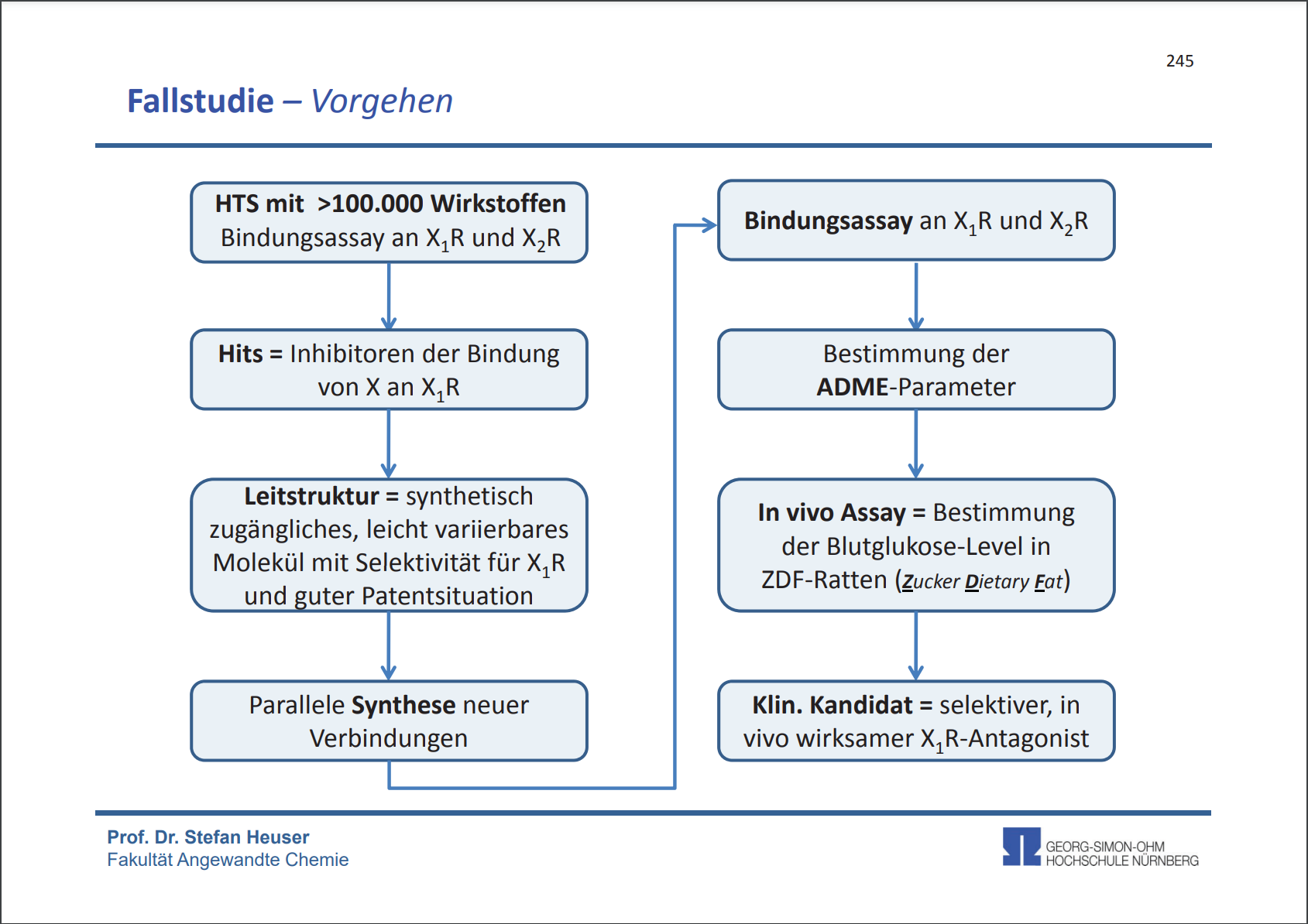 Darstellung des Vorgehens zur Fallstudie